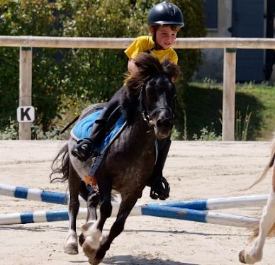 Jeune cavalier au trot en carrière