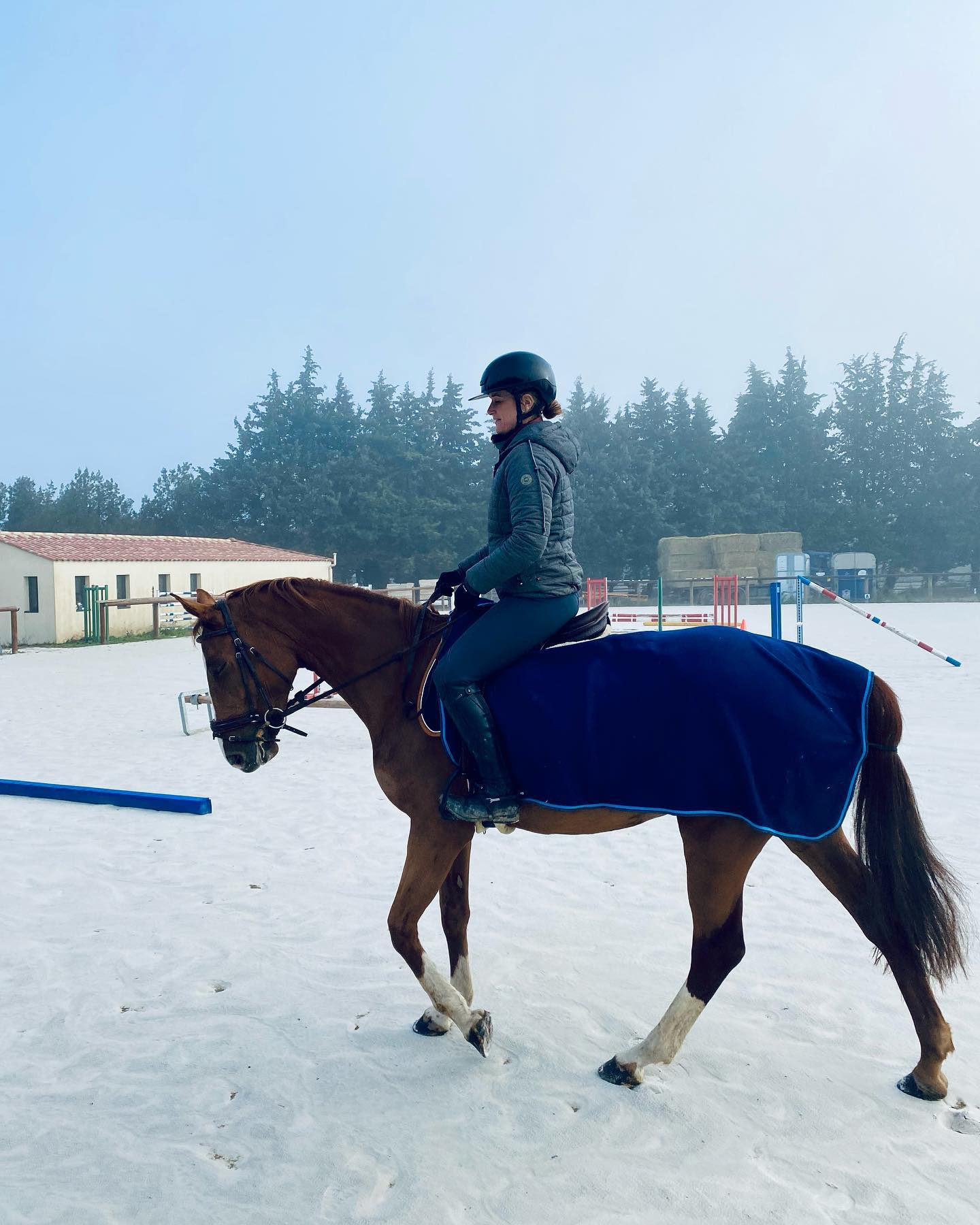 Cavalière au travail en carrière, cheval sous couvre-reins