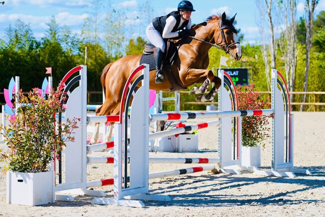 Jument de CSO